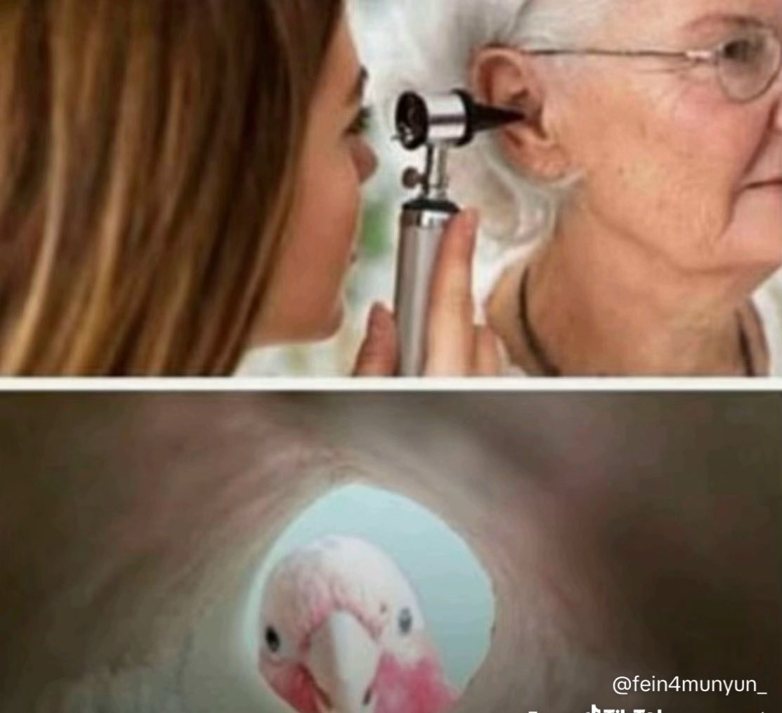 DDG IN 🖐🏾 🪖 tweet media