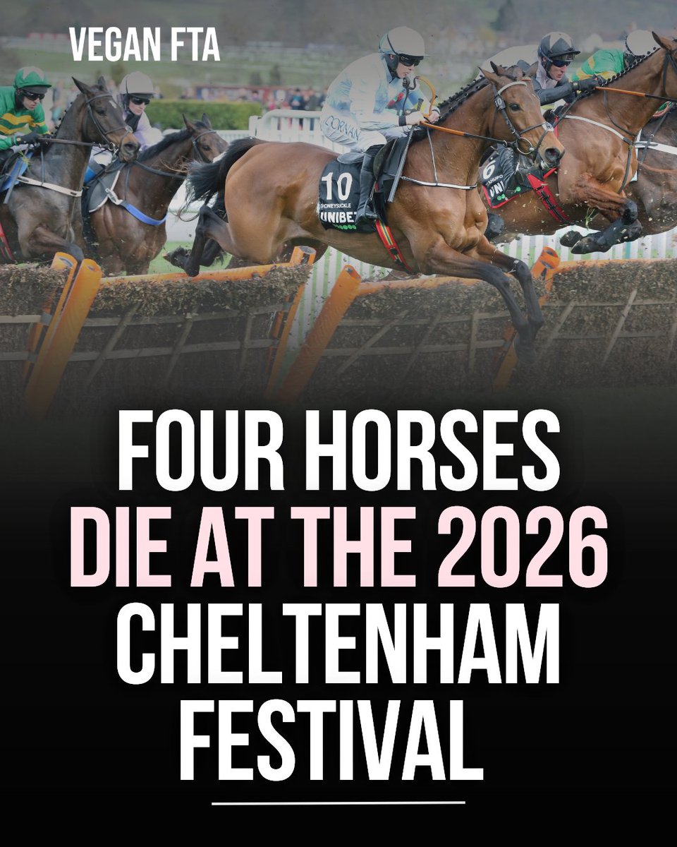 Vegan FTA tweet media