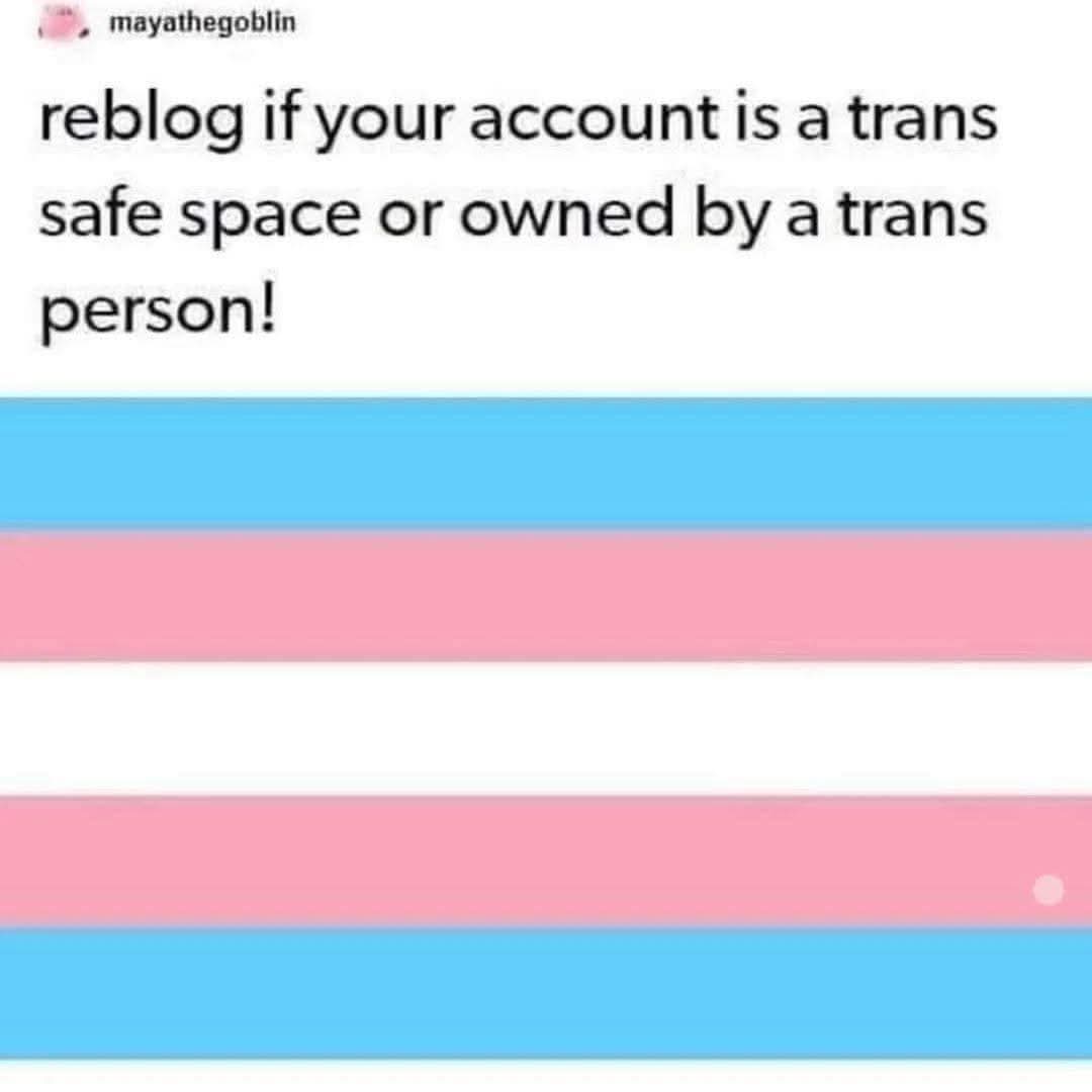 🖤💙𝖂𝖔𝖑𝖋𝖎𝖊💙🖤 tweet media