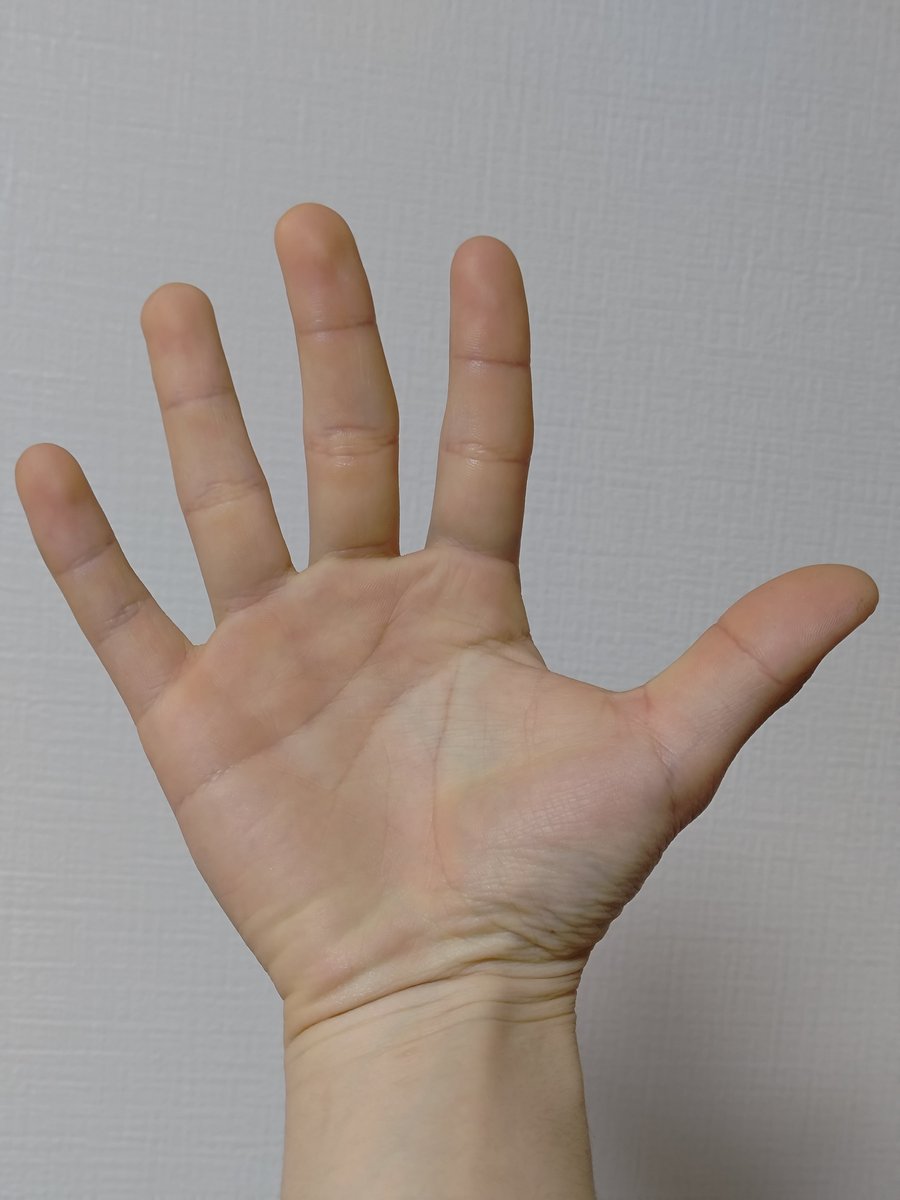 おいわ tweet media