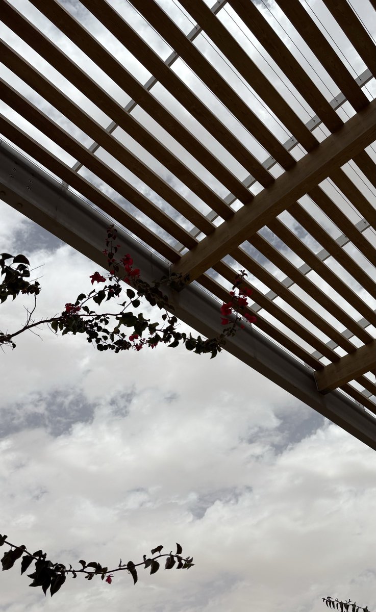 Shahad A tweet media