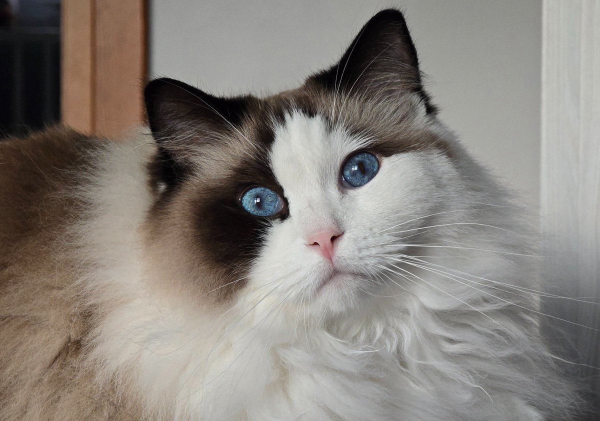 Rafał Lenart tweet media