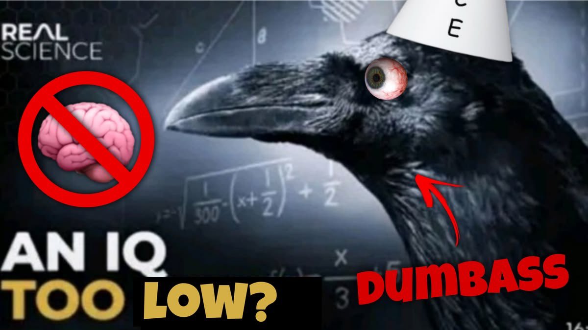 RedArmyRage tweet media