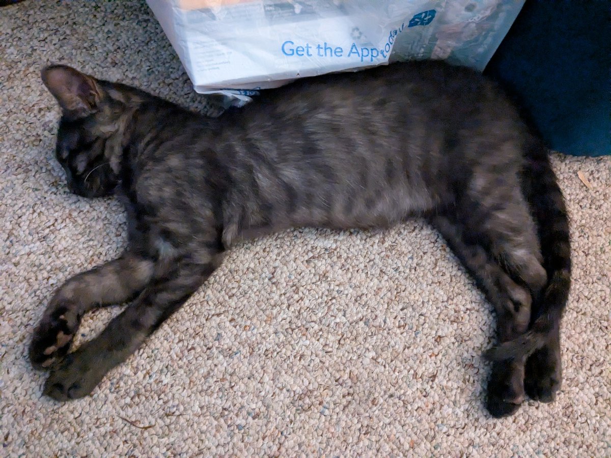 Gleamy Dreams ~ ✨ tweet media