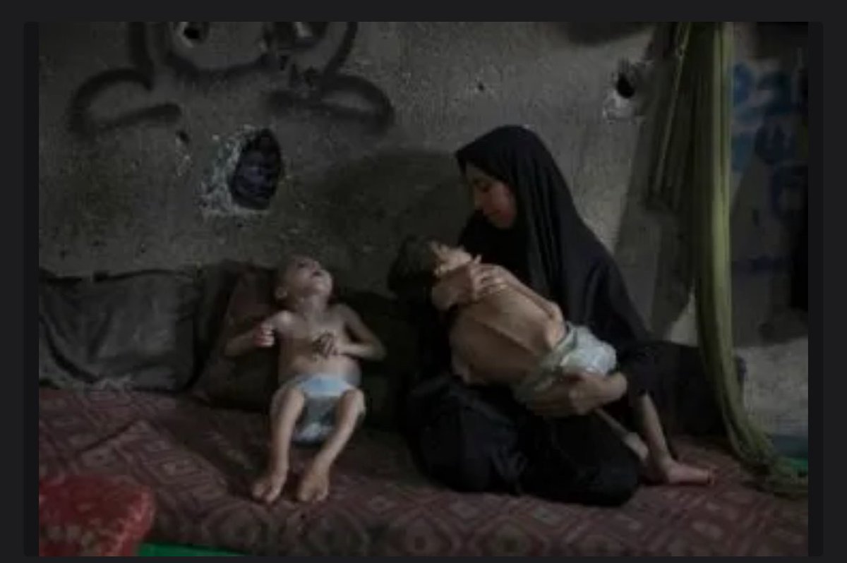 Party Crasher tweet media