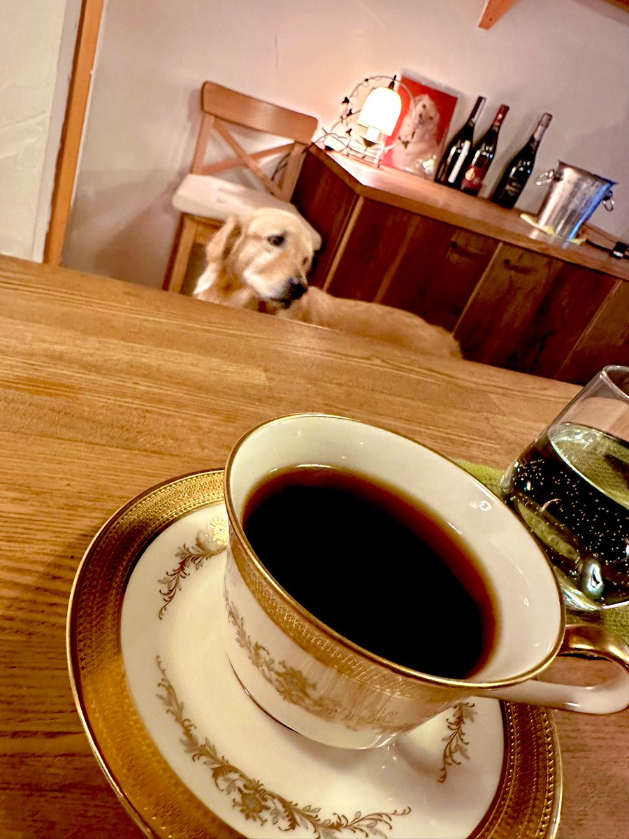 笹本恭平 tweet media