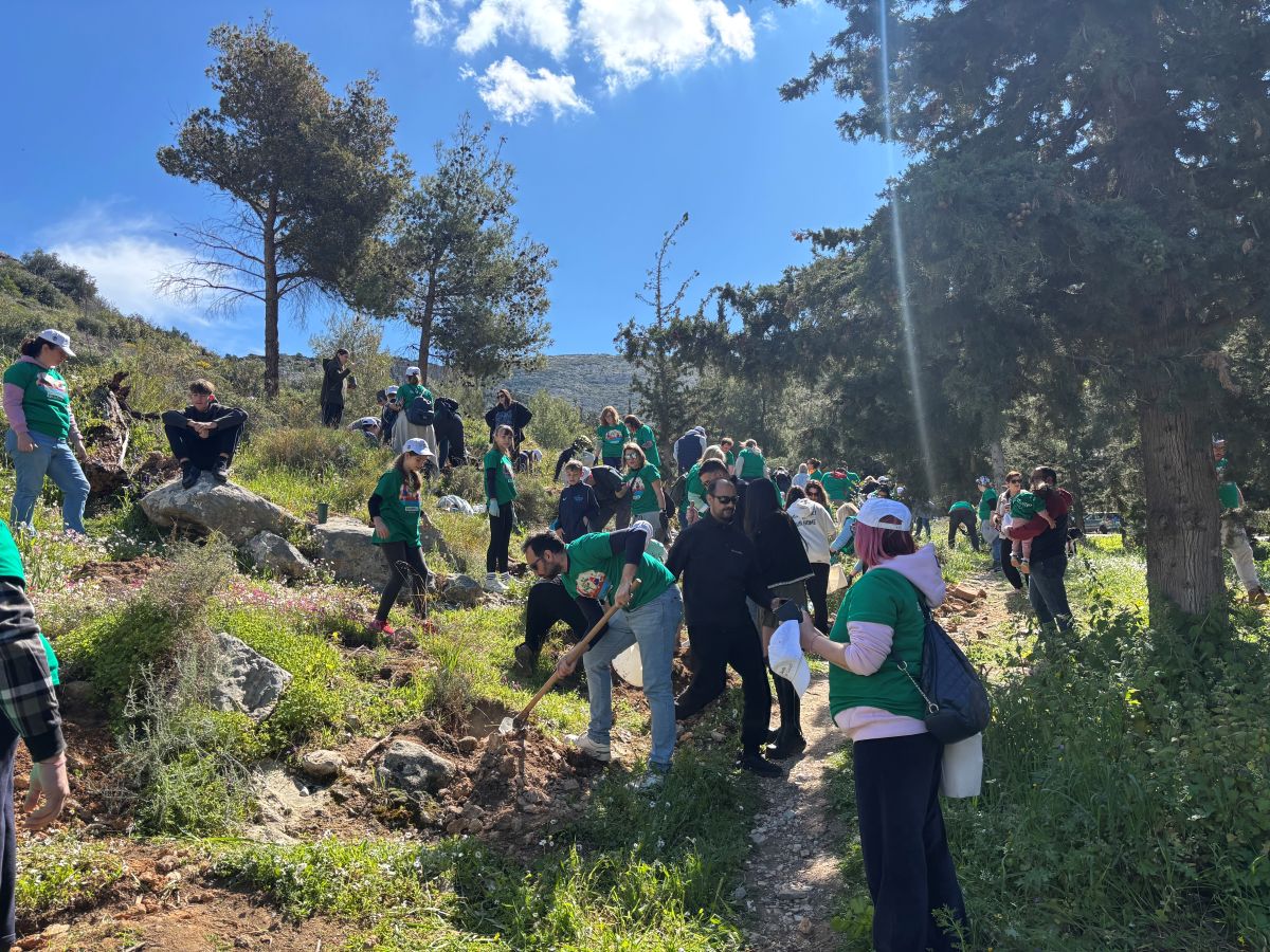 vironas's tweet photo. Πράσινη «ανάσα» στον Καρέα: 150 νέες φυτεύσεις ενισχύουν το οικοσύστημα της περιοχής https://t.co/D2zypyqe13 https://t.co/2zYDcoNiRI