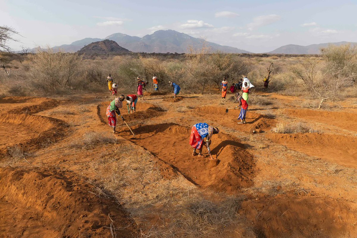 UNDP Planet tweet media