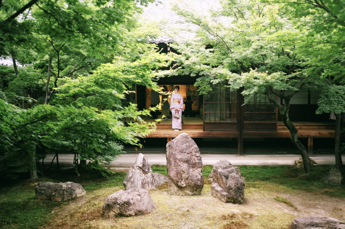 レクスイー tweet media