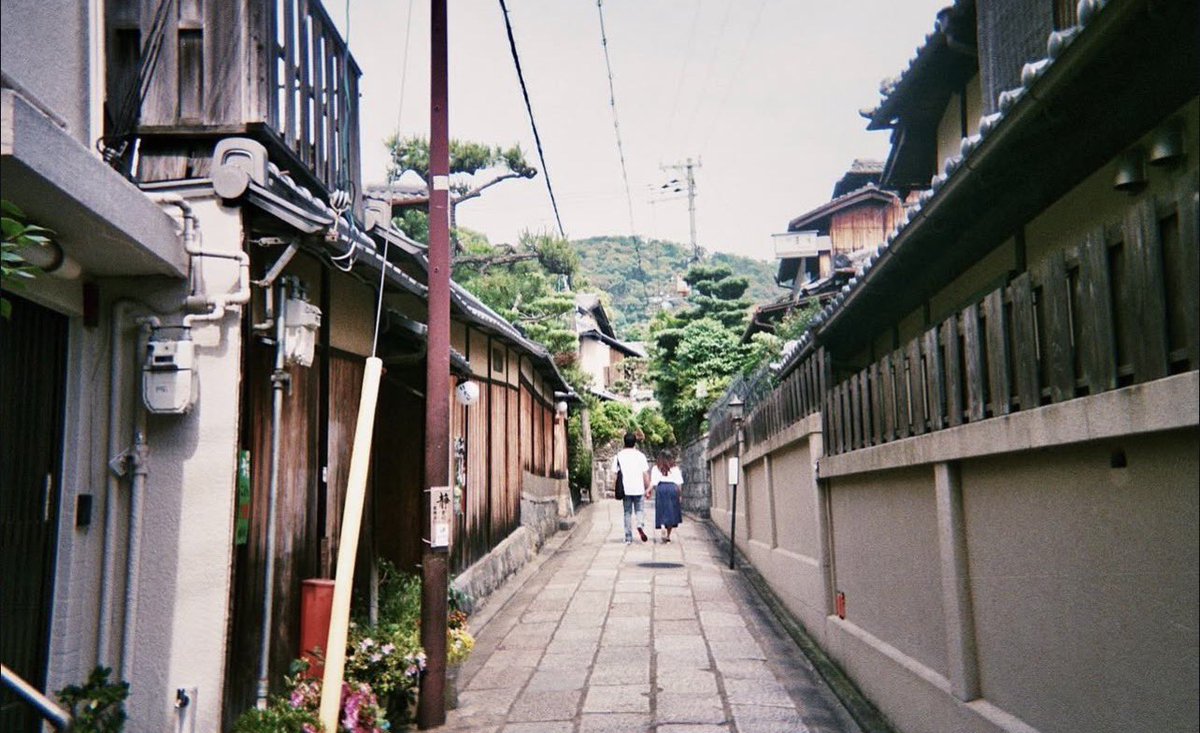 レクスイー tweet media