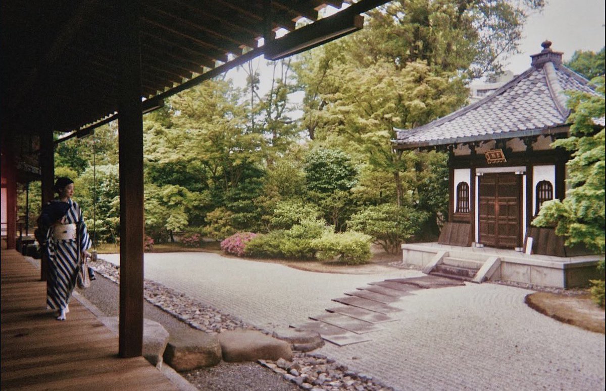 レクスイー tweet media