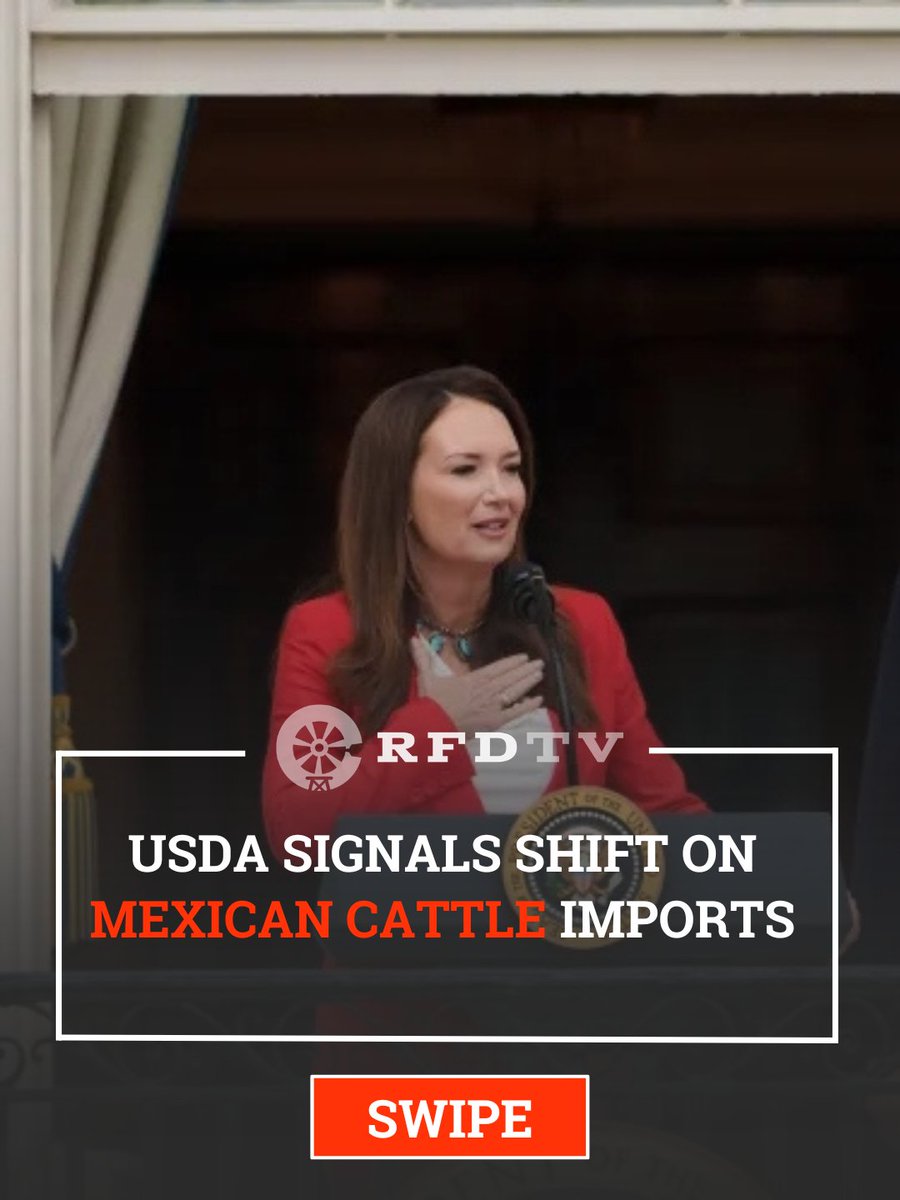 OfficialRFDTV's tweet image. New details are emerging on the threat of New World Screwworm. @SecRollins is now raising the prospect that the Southern border could soon reopen to Mexican feeder cattle. 

#agtwitter #NWS #usda