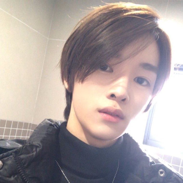 po(ㅎ.ㅎ)bor tweet media