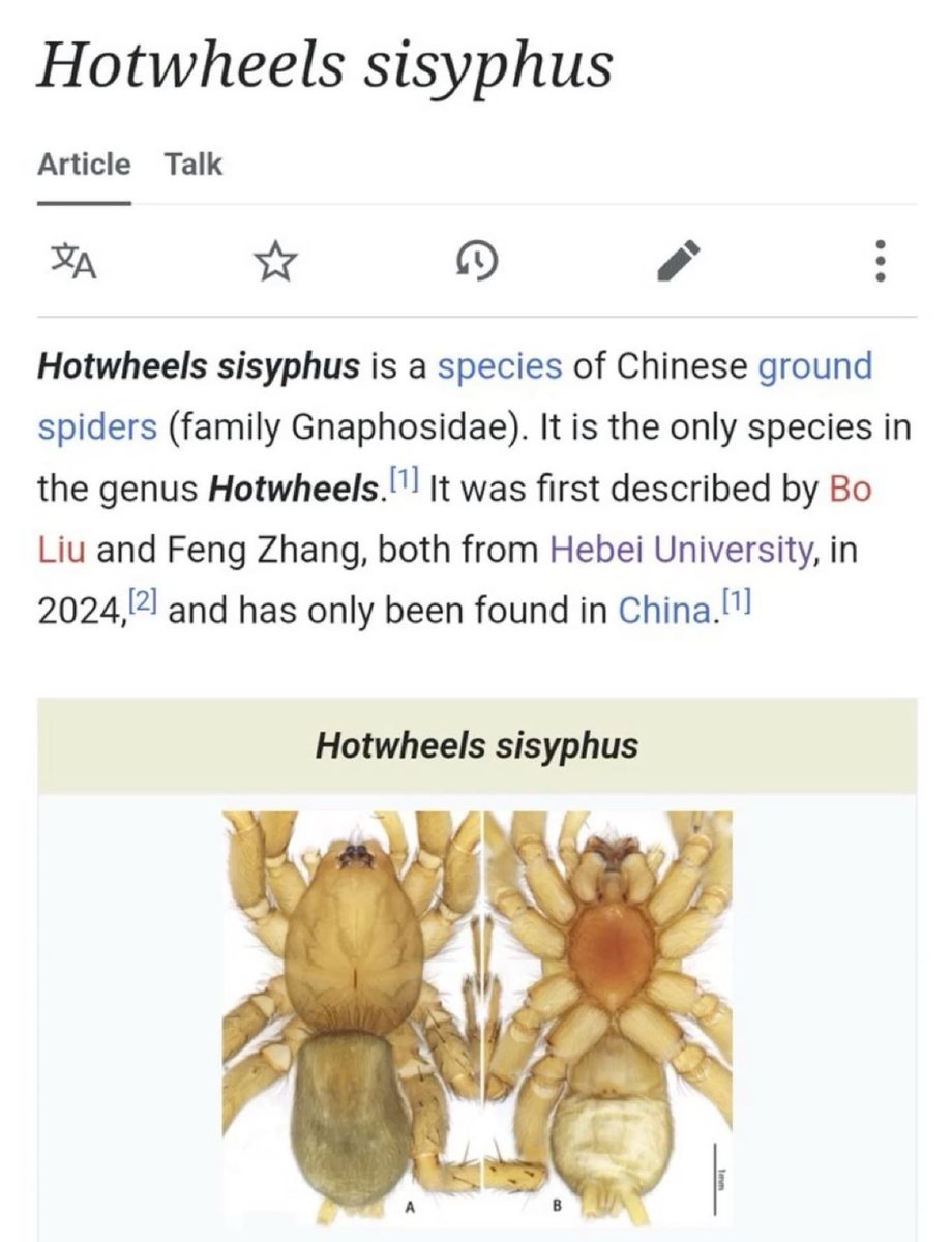 horse dentist tweet media