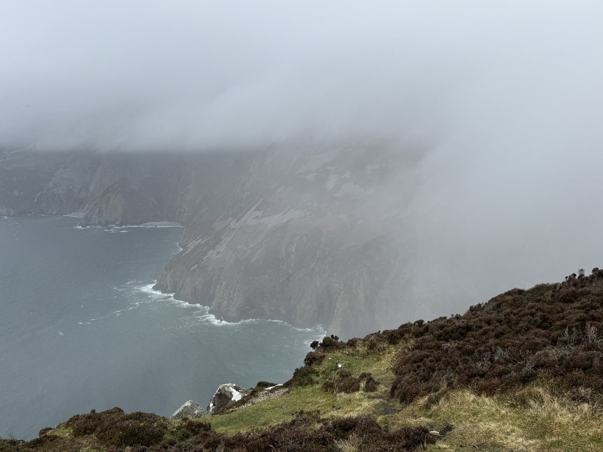 Anja Mueller tweet media