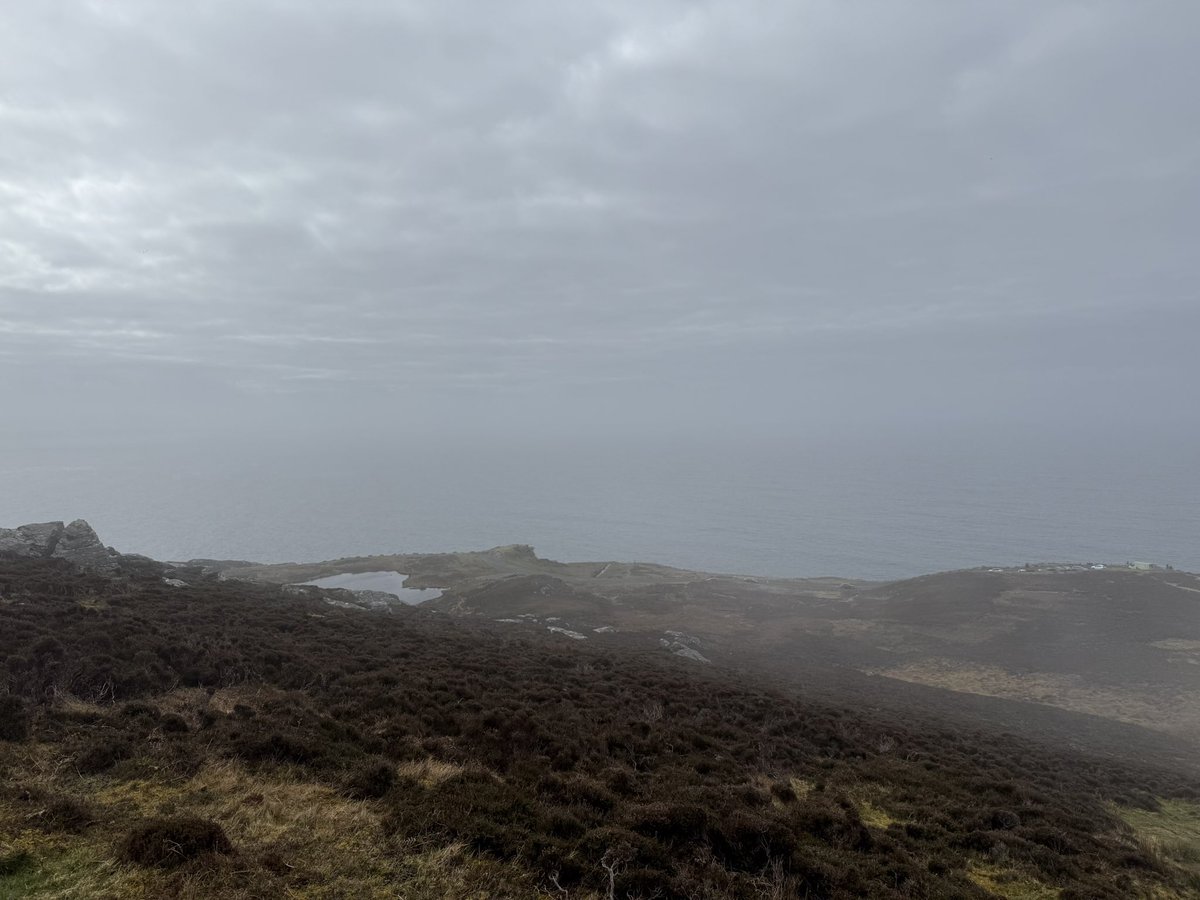 Anja Mueller tweet media