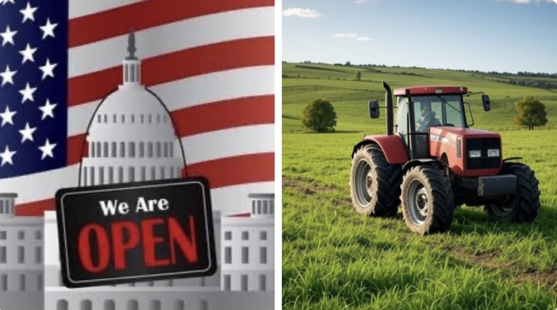 Yadira Vargas Tirado tweet media