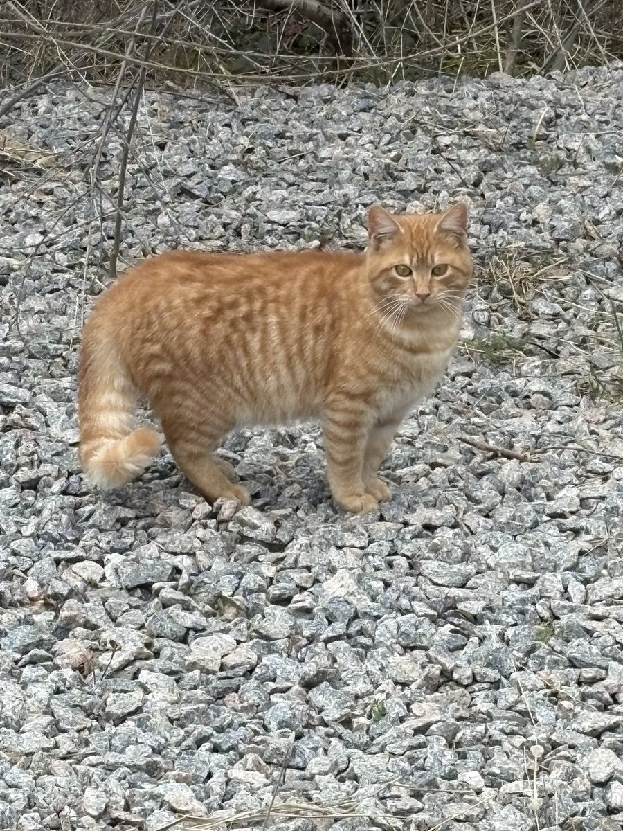 moments under stress tweet media