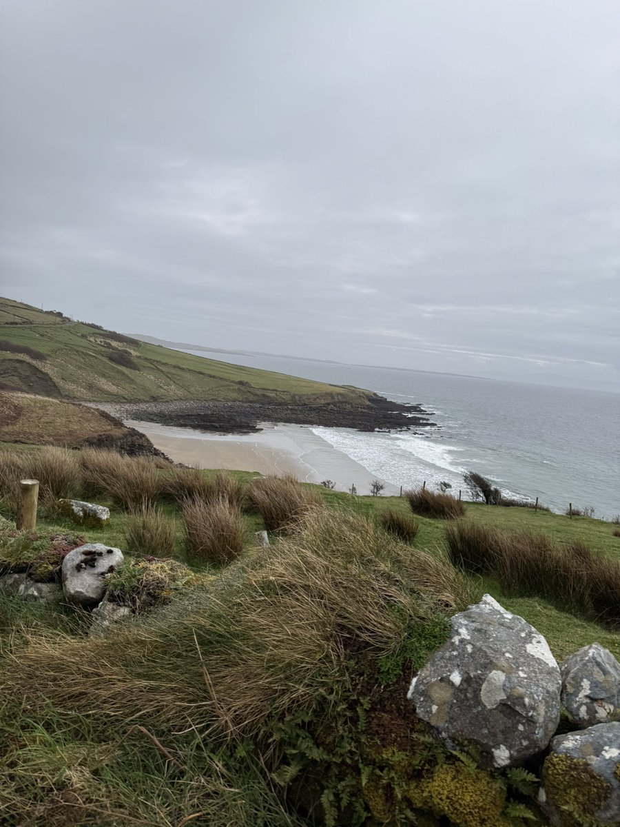 Anja Mueller tweet media