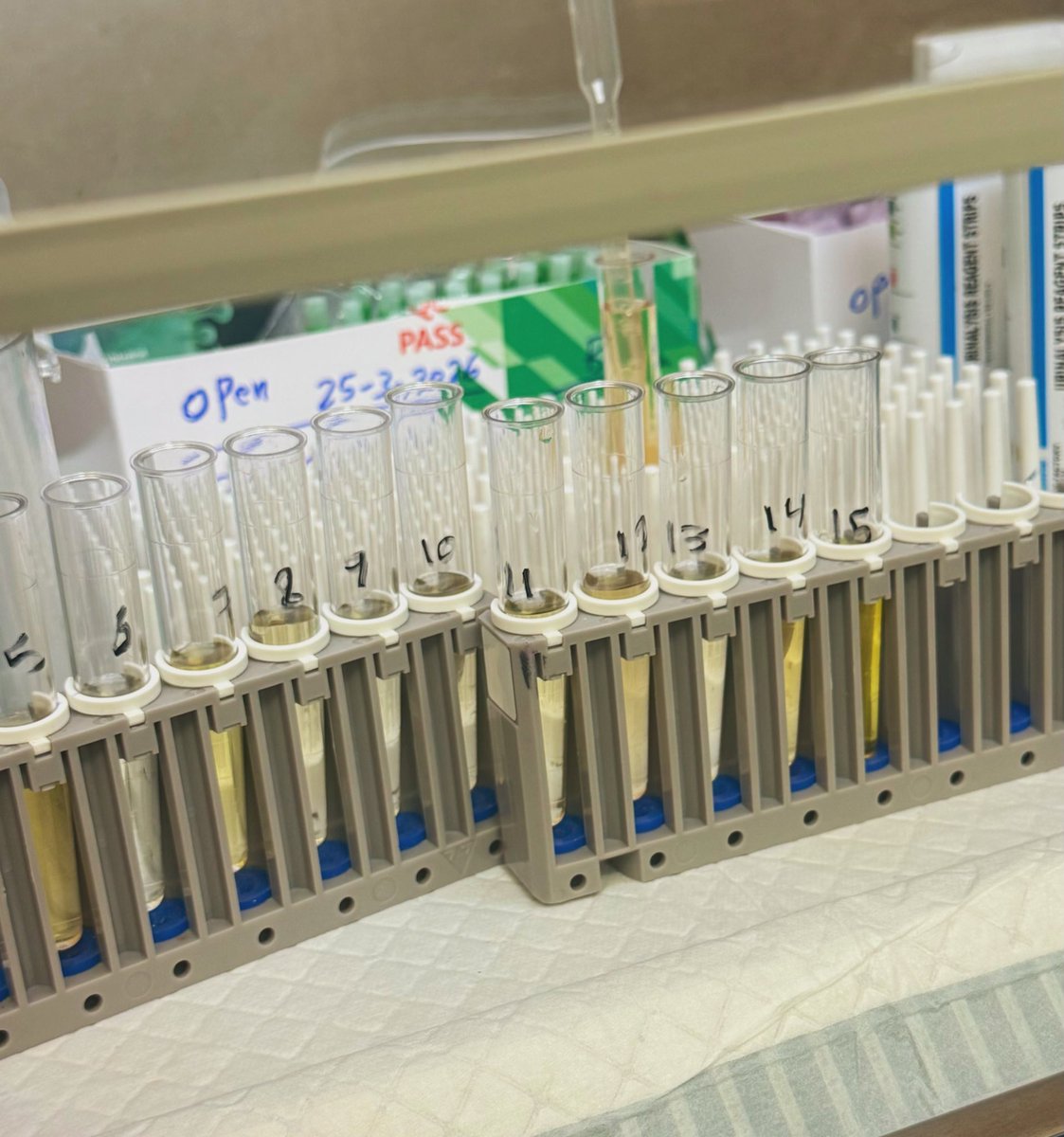 لِيَـان tweet media