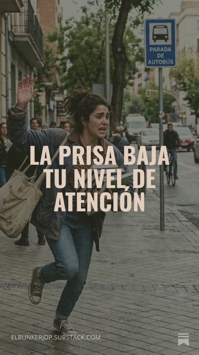 EL BÚNKER por Jose de Pedro tweet media