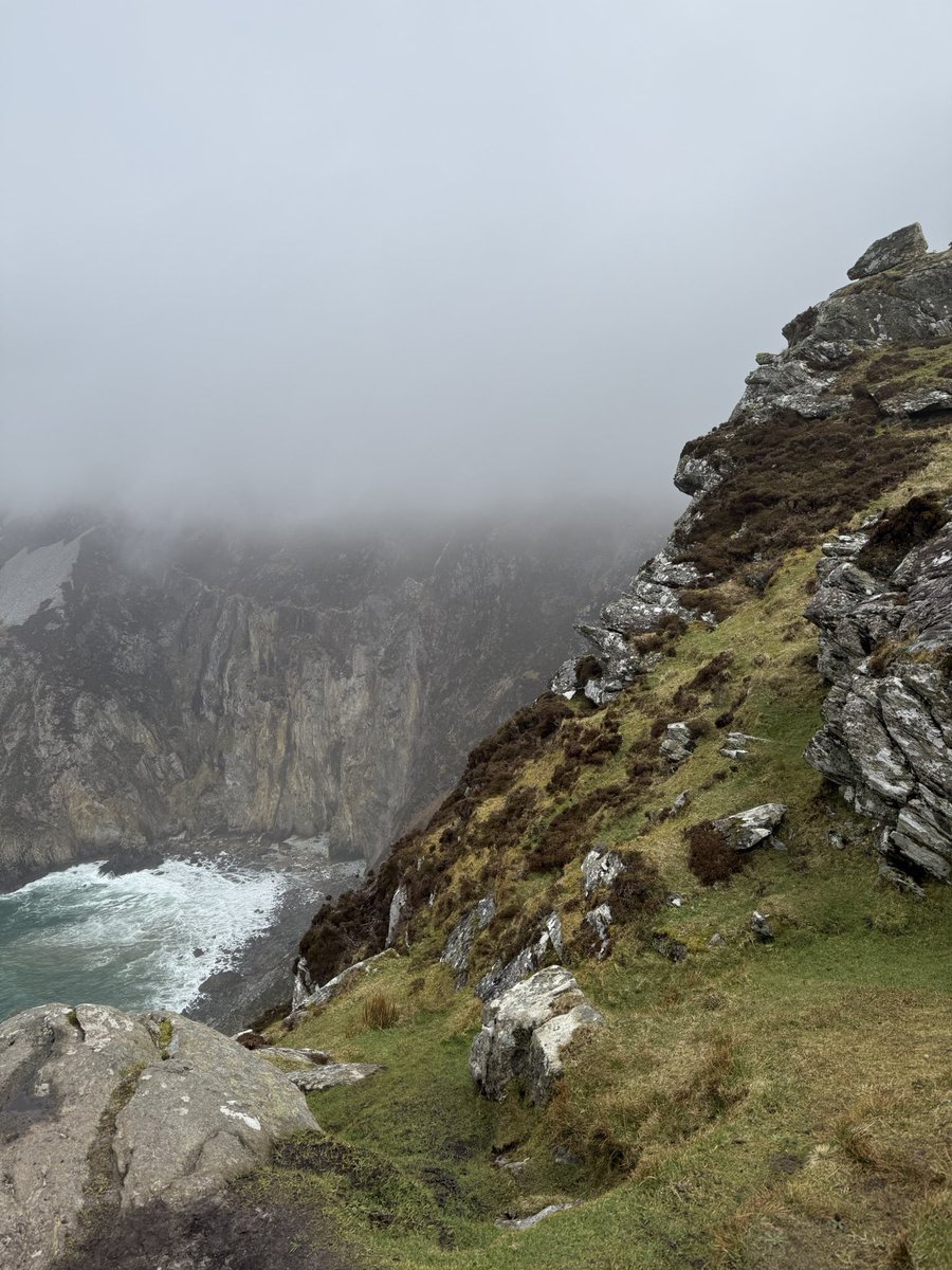 Anja Mueller tweet media