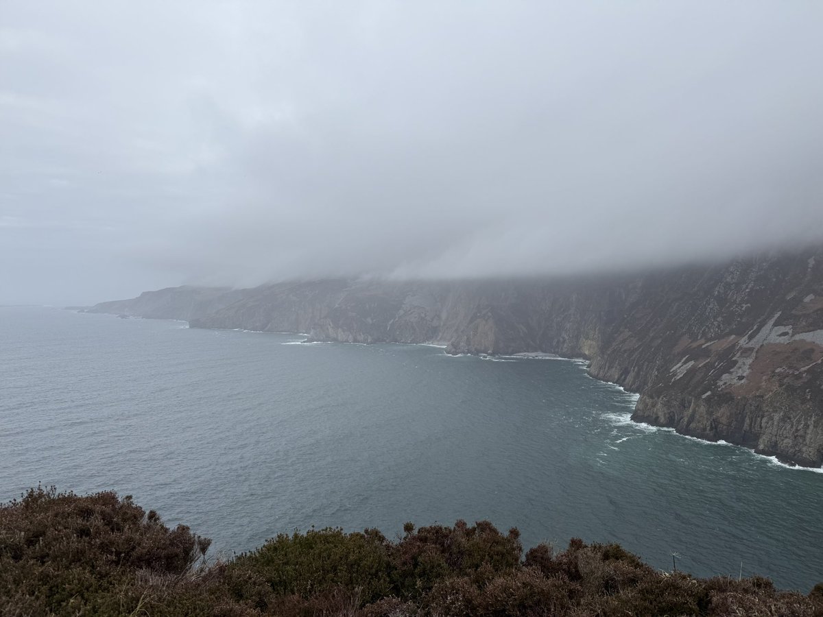 Anja Mueller tweet media