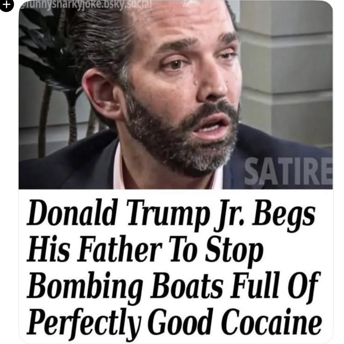 SassiCanadian tweet media