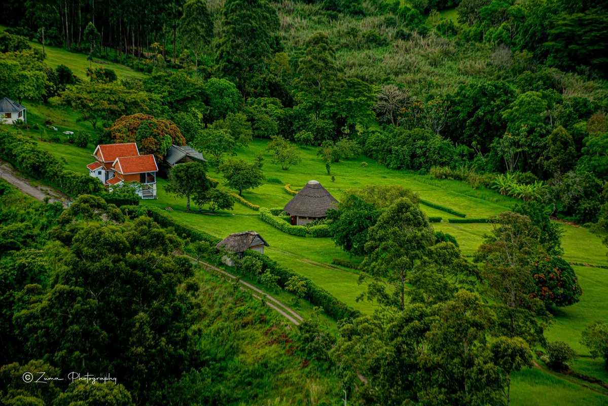 Mükalazi Jacob Zuma tweet media