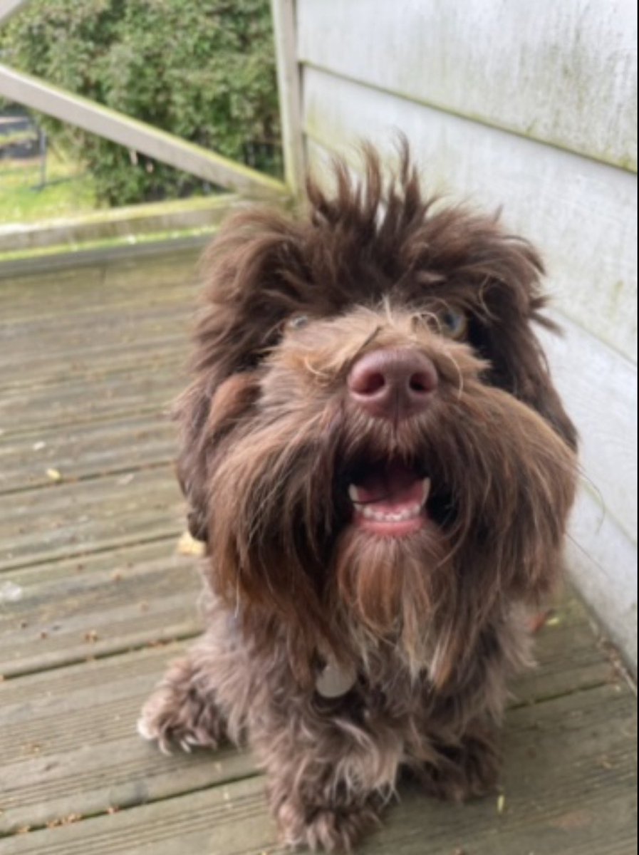 bob🇩🇰 tweet media