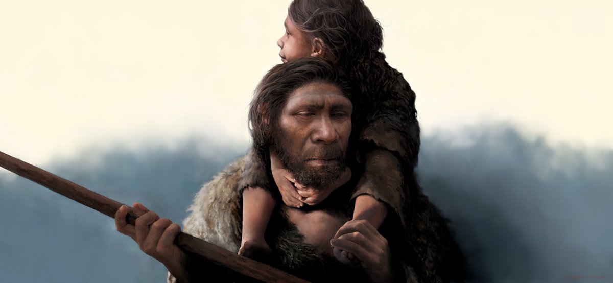 PaleoAnthropology tweet media