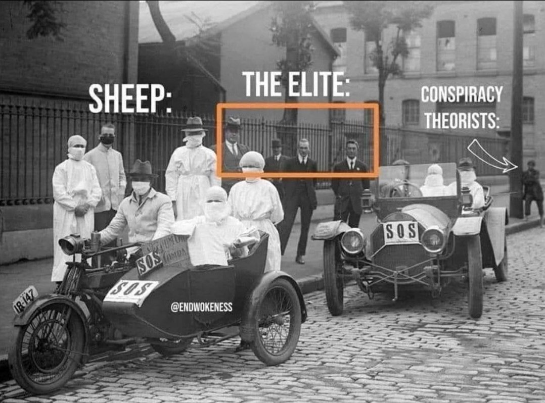 Bronze Giant tweet media