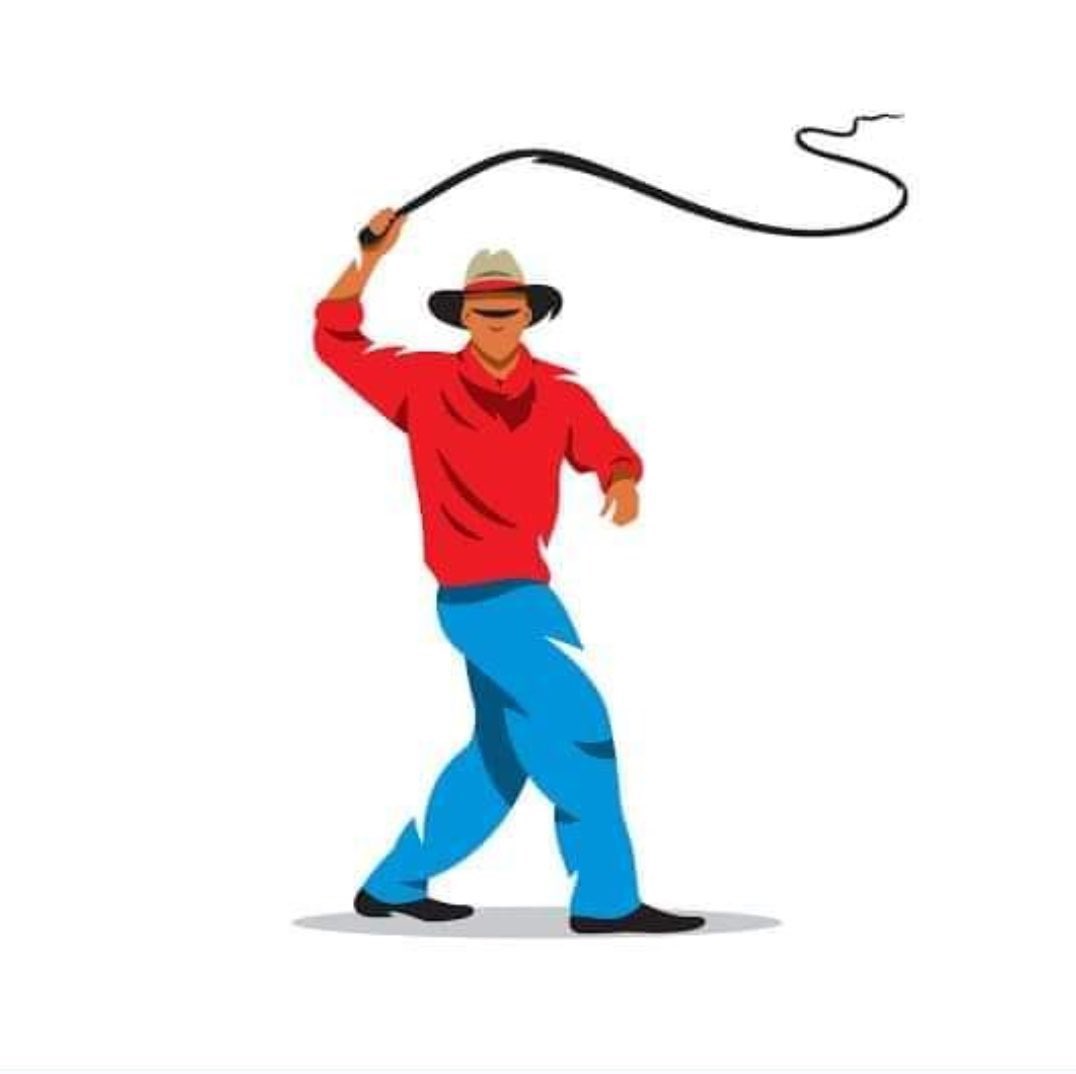 StarLedi tweet media