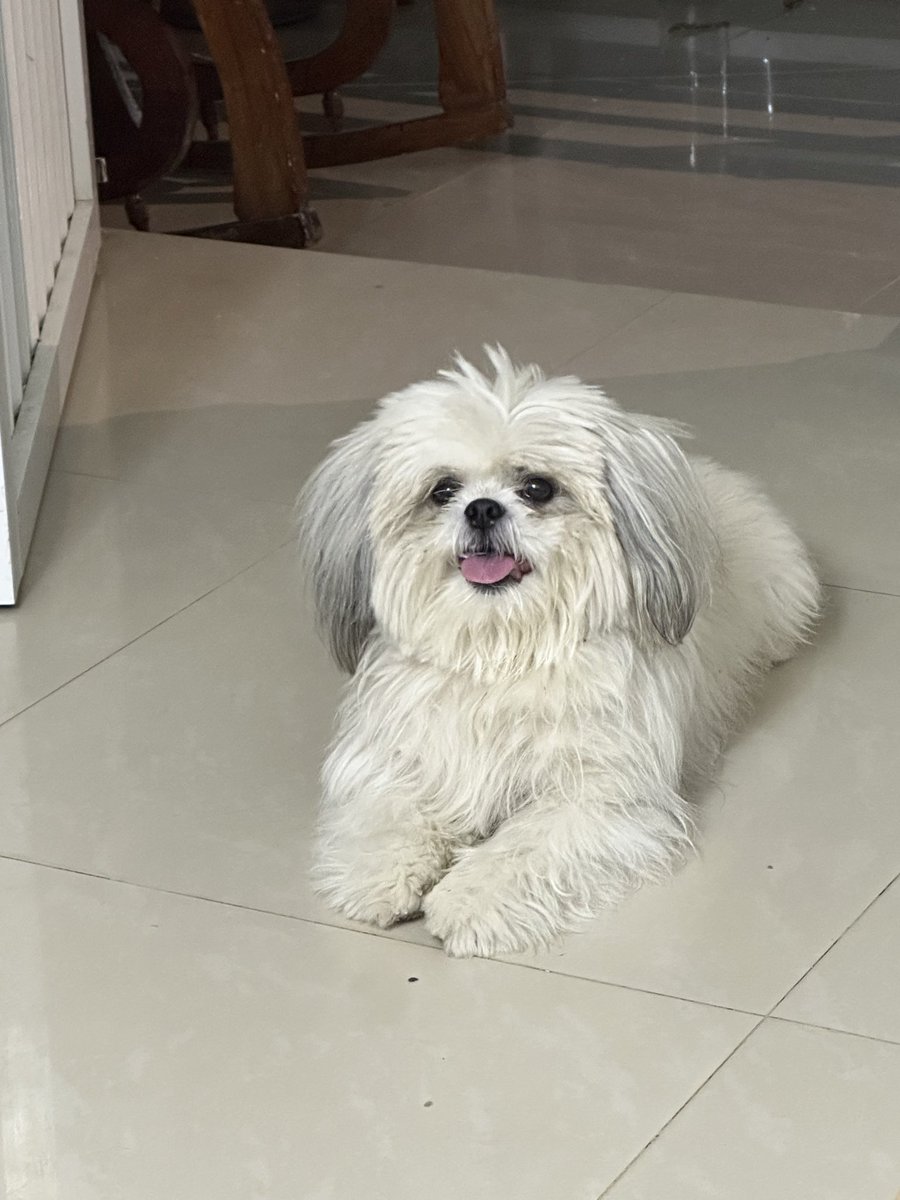 Yoselin. tweet media