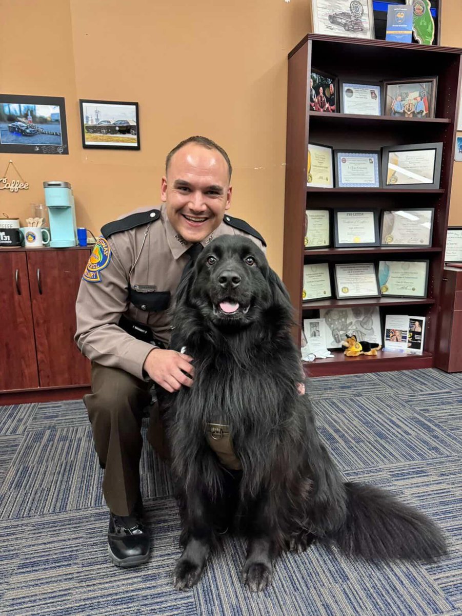 We’re proud to recognize recent promotions within the FHP Auxiliary:
▪️ Sgt. Davis → Lt., State Finance Officer
▪️ Sgt. Impellizeri → Lt., State Quartermaster
▪️ Tpr. Popovich → Sgt., Finance Officer Director
Their dedication continues to strengthen our mission.