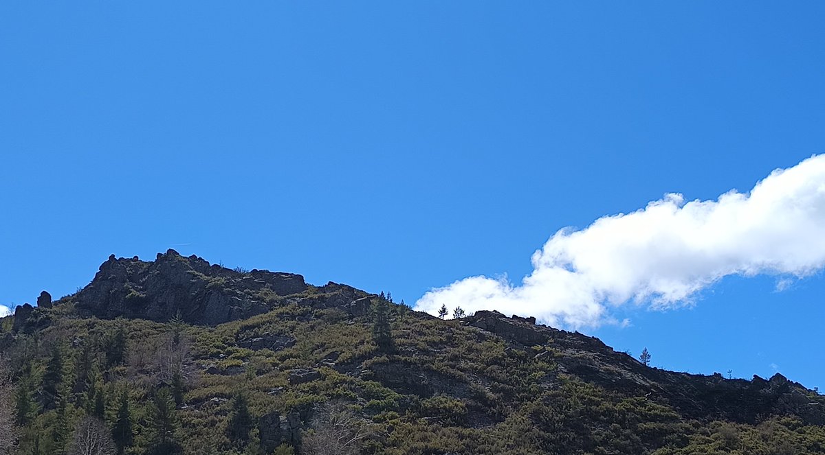 LN_Ryuu☄️ tweet media