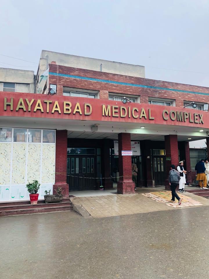 Panra 🌿 tweet media