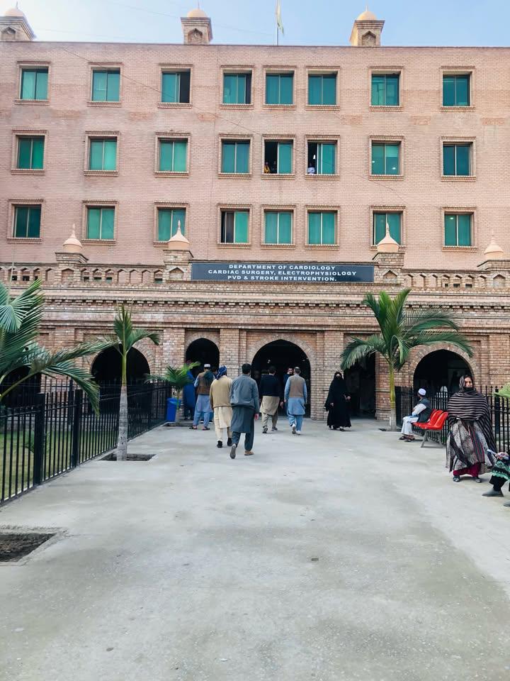 Panra 🌿 tweet media