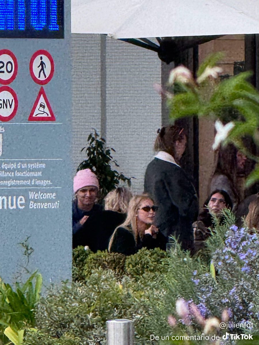 Pepi #Colapunto tweet media