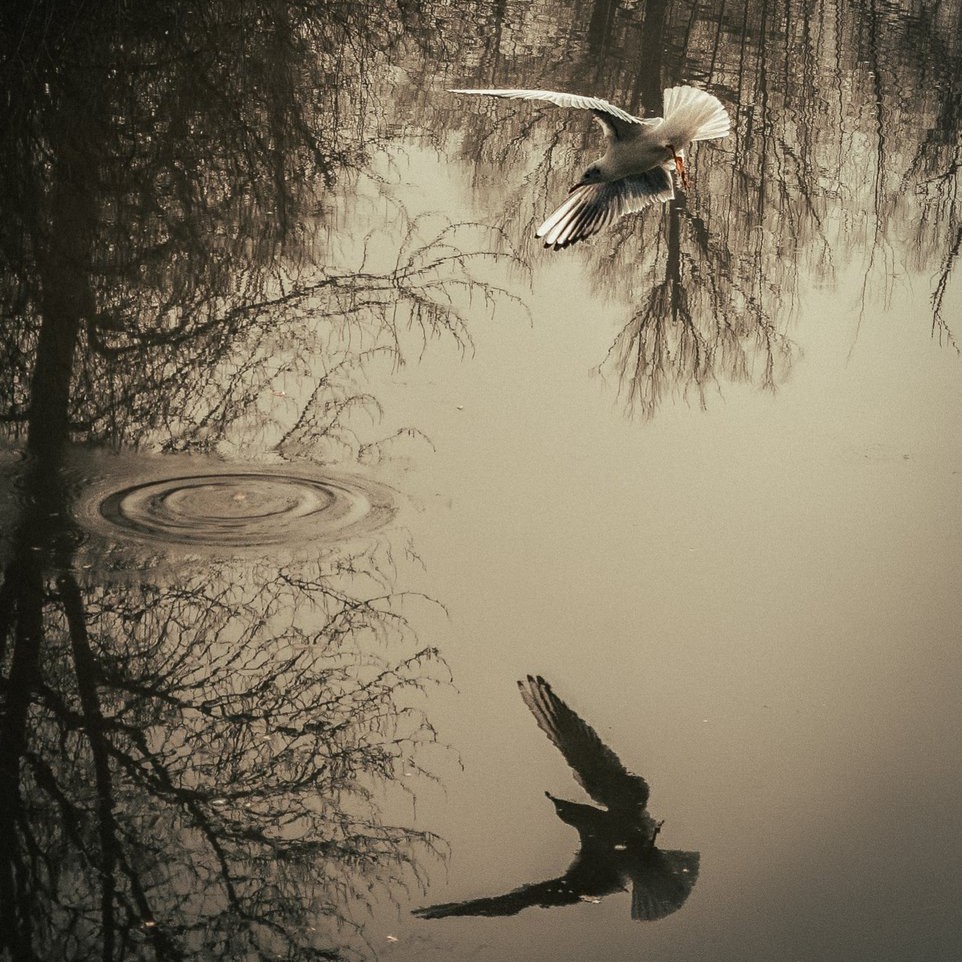 Snapdragon UK tweet media