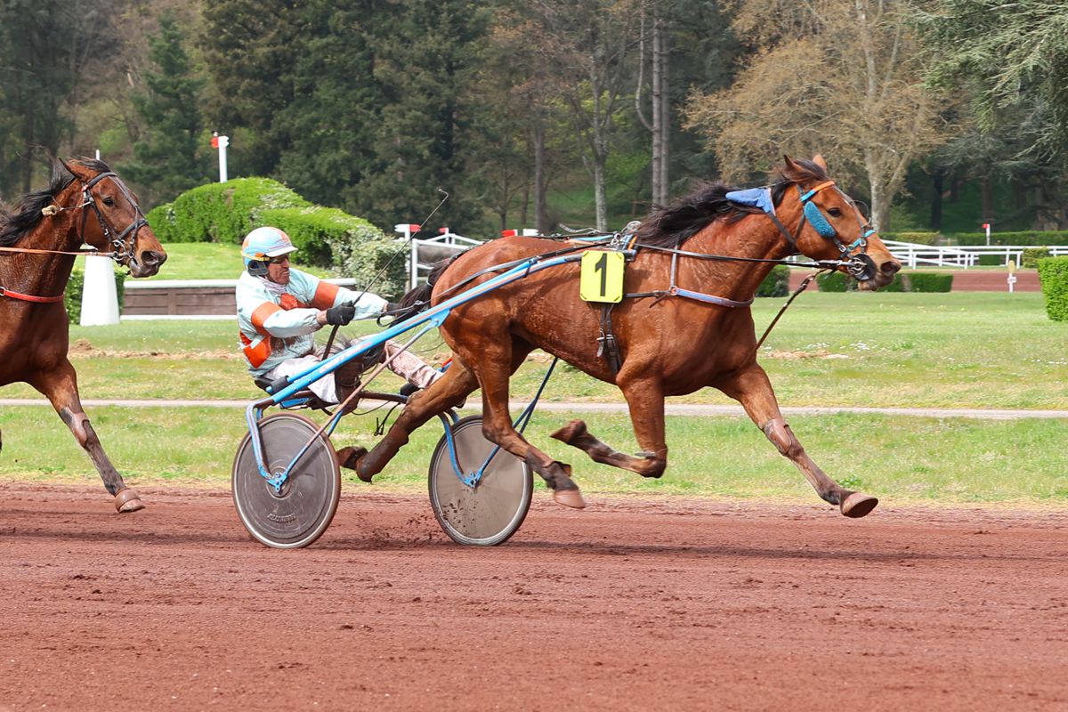 ParisTurf tweet media