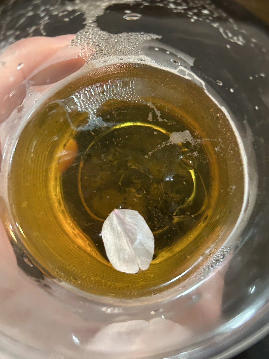 野崎裕理(Yuri Nozaki) tweet media