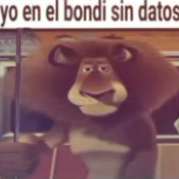 𝖗𝖆𝖒𝖎_ tweet media