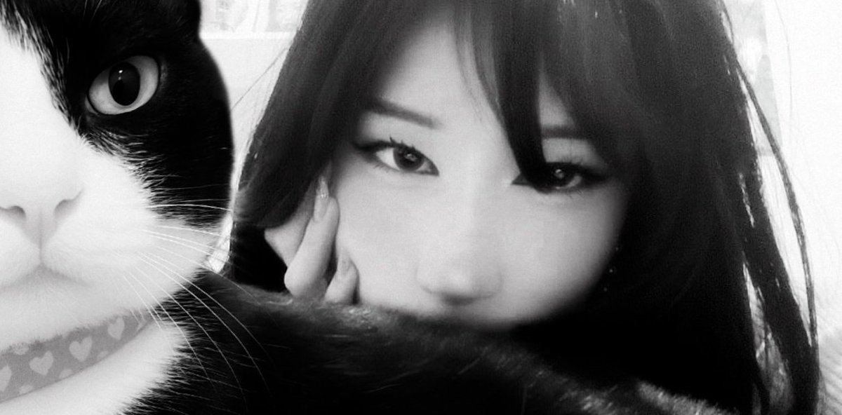 vanilla 𖹭 tweet media