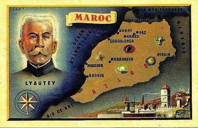 ♞🇩🇿 tweet media