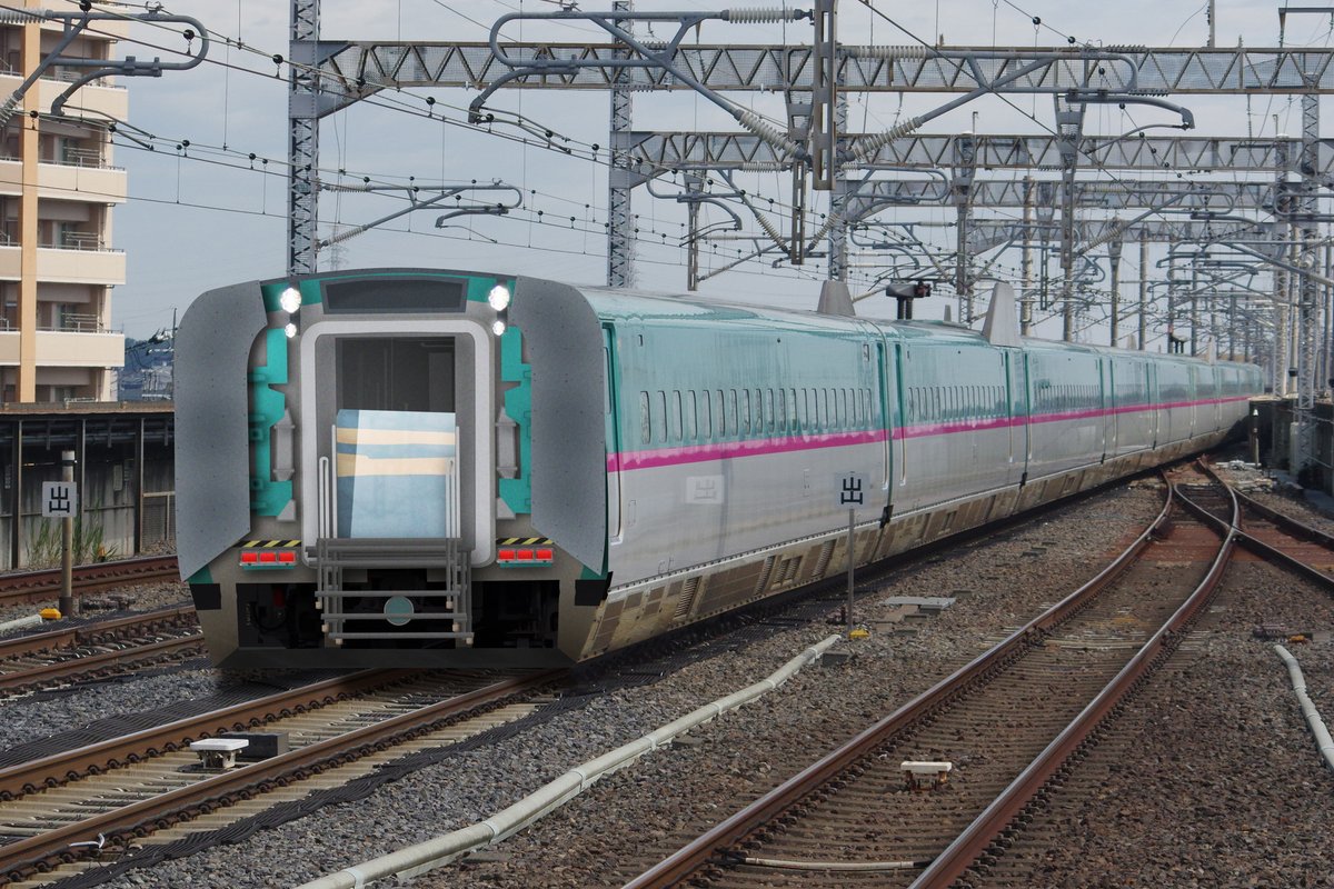 薄ワパ(コペハ鳥) tweet media