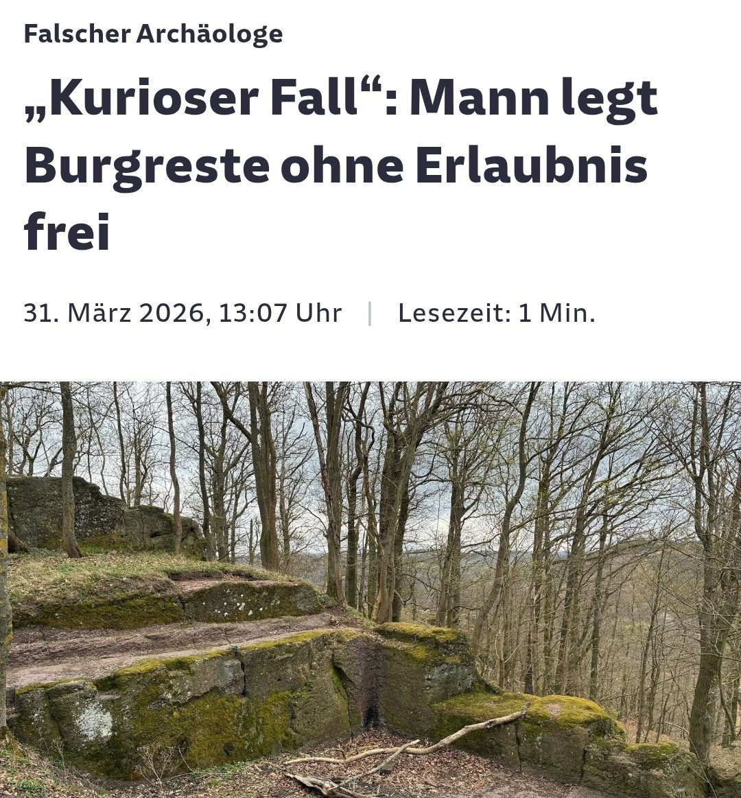 Waldhüterin 🌲🍄 tweet media