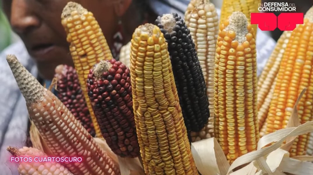 SinEmbargo tweet media