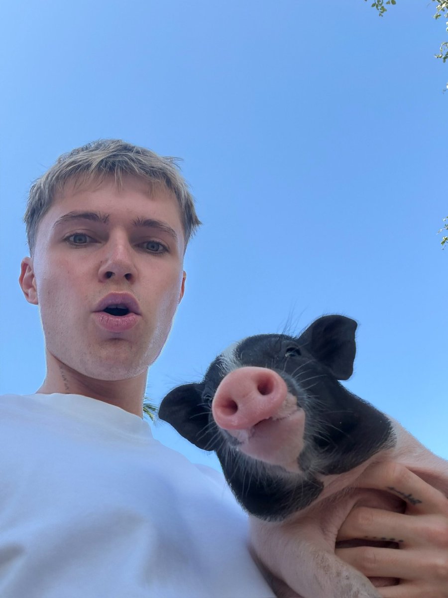hrvy tweet media