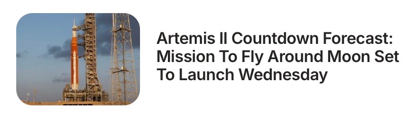 squirrel-there tweet media